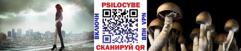 как найти наркотики  Зеленокумск  Галлюциногенные грибы MAGIC MUSHROOMS 