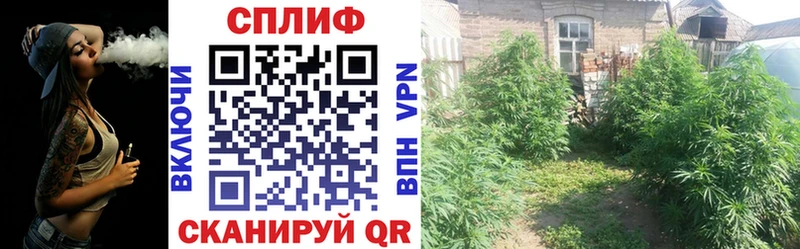 Каннабис план  Зеленокумск 